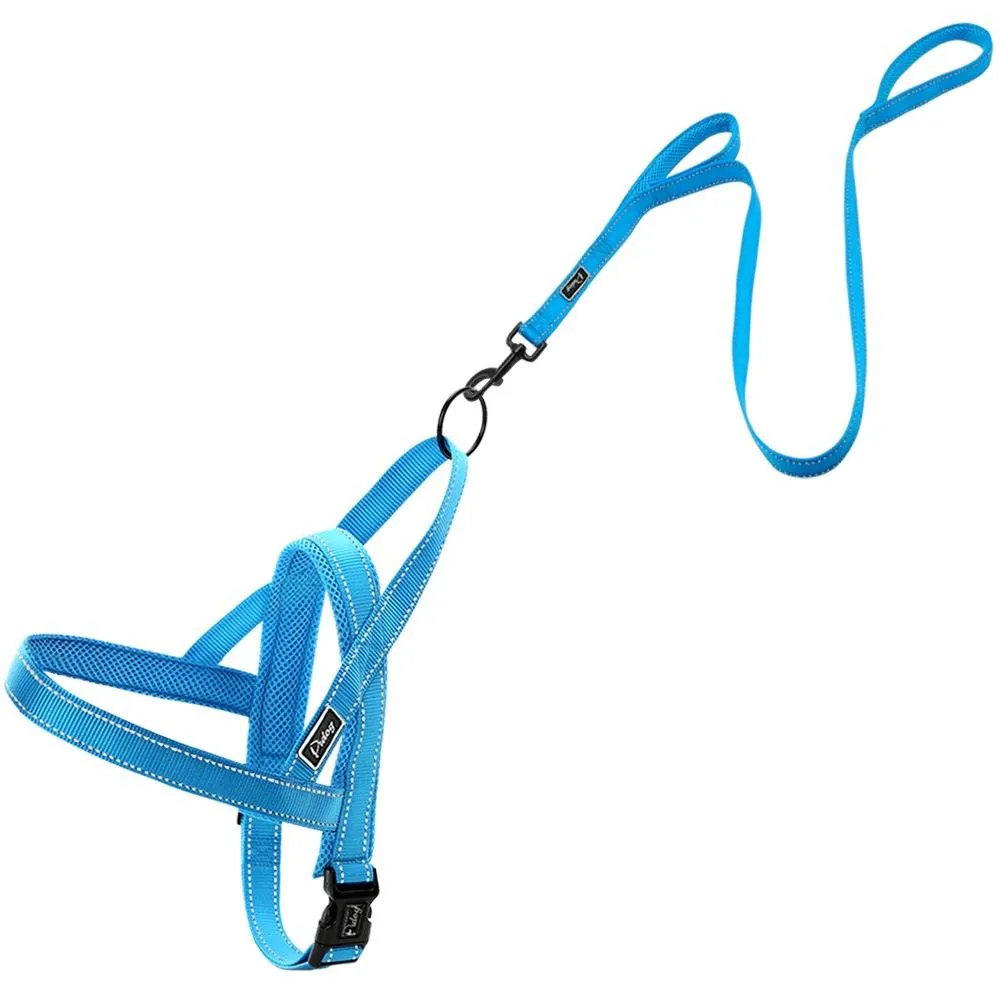 Convenient Basic Nylon Dog's Harness with Leash