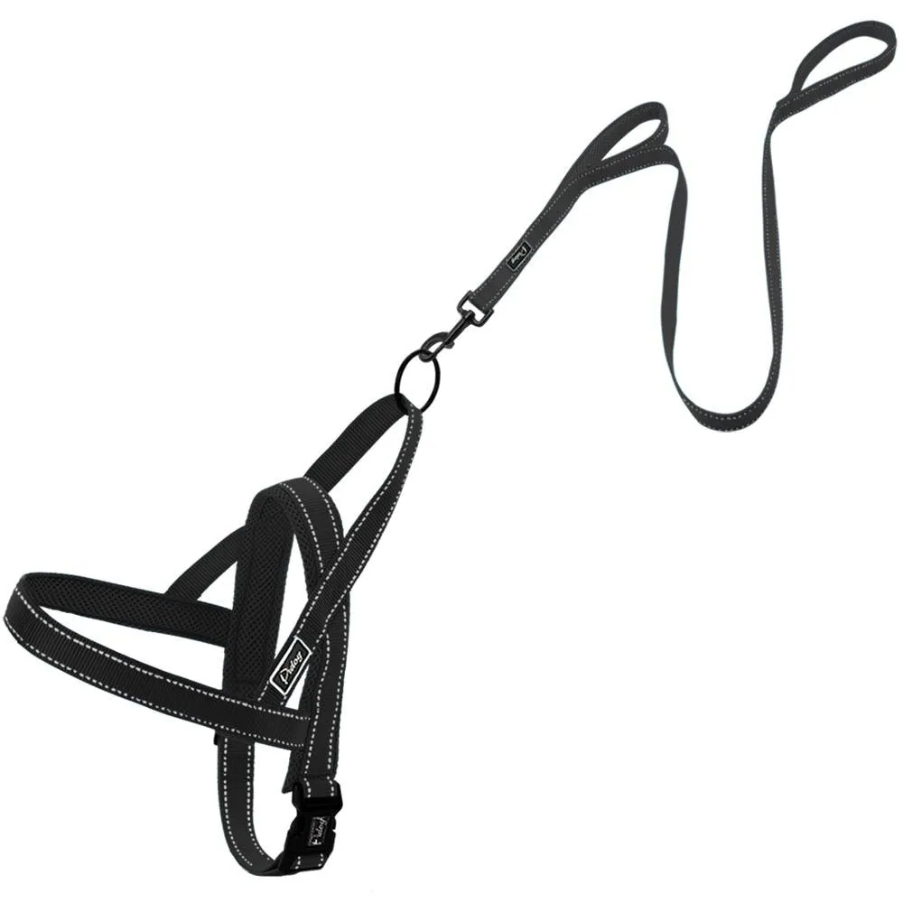 Convenient Basic Nylon Dog's Harness with Leash