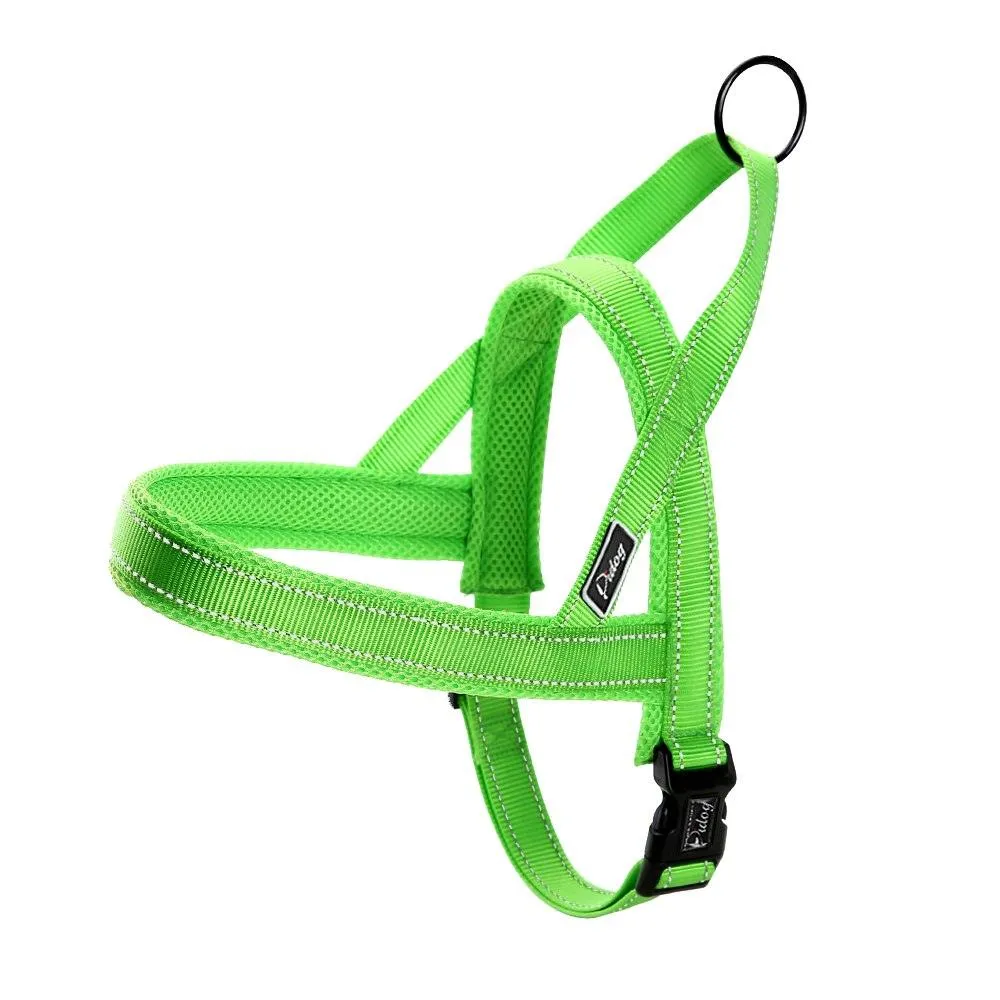 Convenient Basic Nylon Dog's Harness with Leash