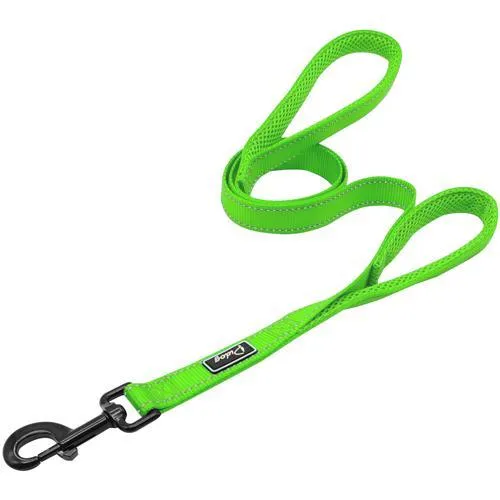Convenient Basic Nylon Dog's Harness with Leash
