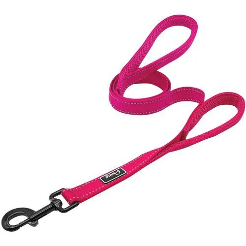 Convenient Basic Nylon Dog's Harness with Leash