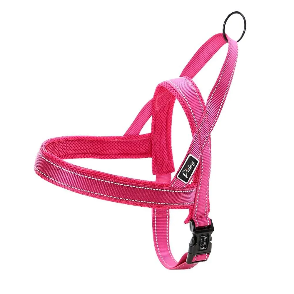 Convenient Basic Nylon Dog's Harness with Leash