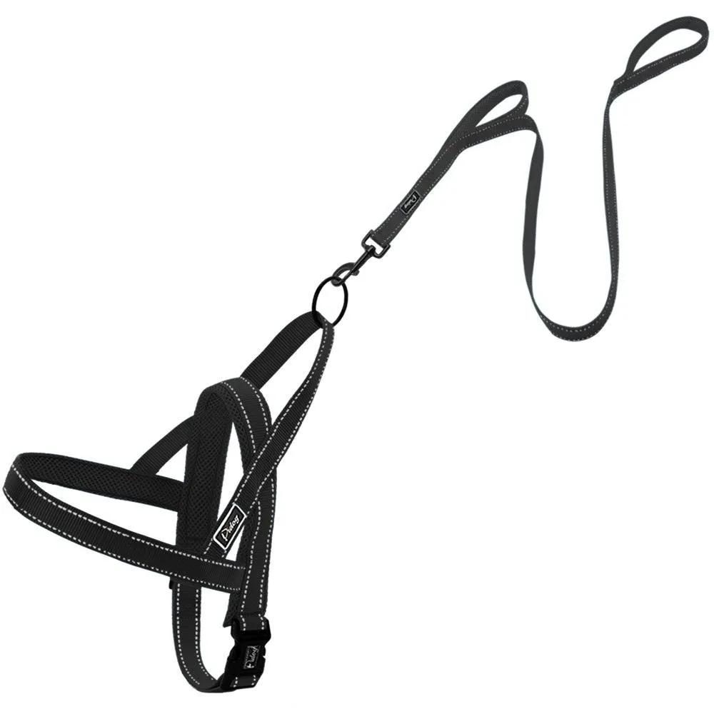 Convenient Basic Nylon Dog's Harness with Leash