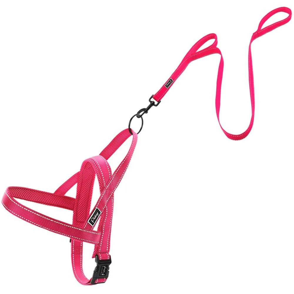 Convenient Basic Nylon Dog's Harness with Leash