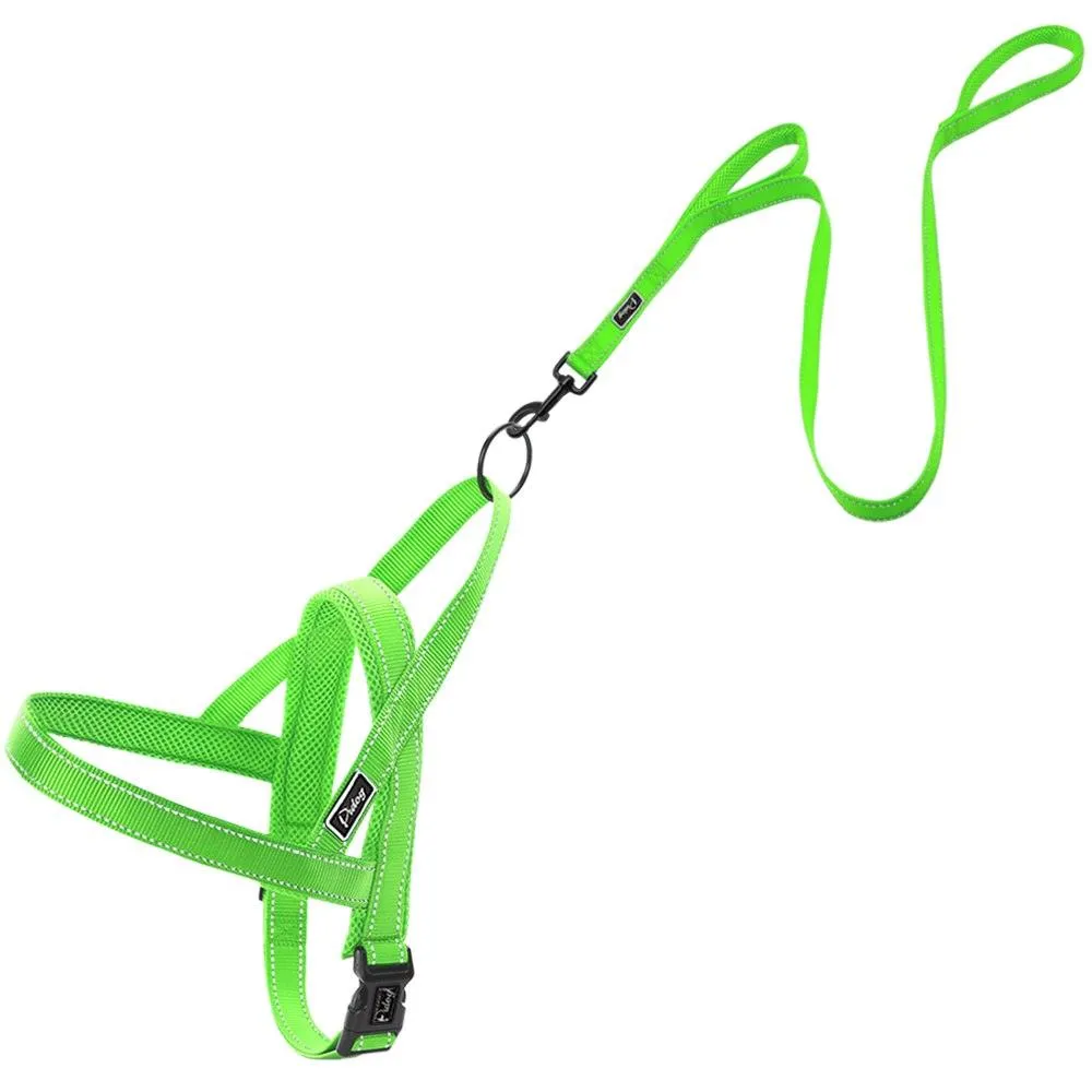 Convenient Basic Nylon Dog's Harness with Leash