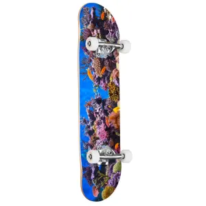 Mini Logo Fish Tank Complete Skateboard 8.0